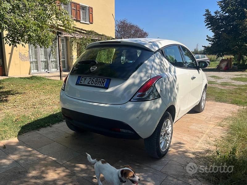 Usata Lancia Ypsilon 80 CV (58 kW) 2015 Bianco Utilitaria