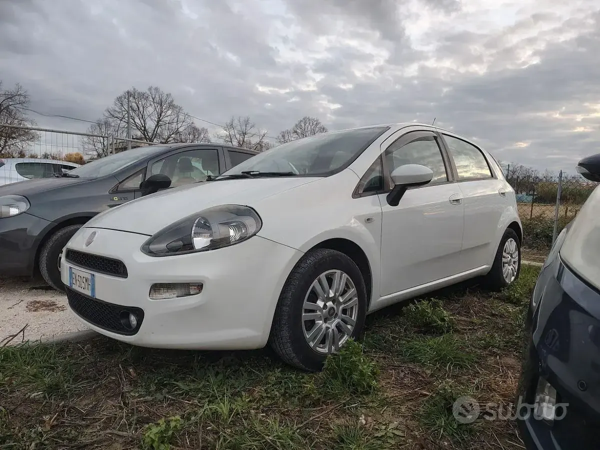 Usata Fiat Punto S 85 CV (62 kW) 2012 Bianco Utilitaria