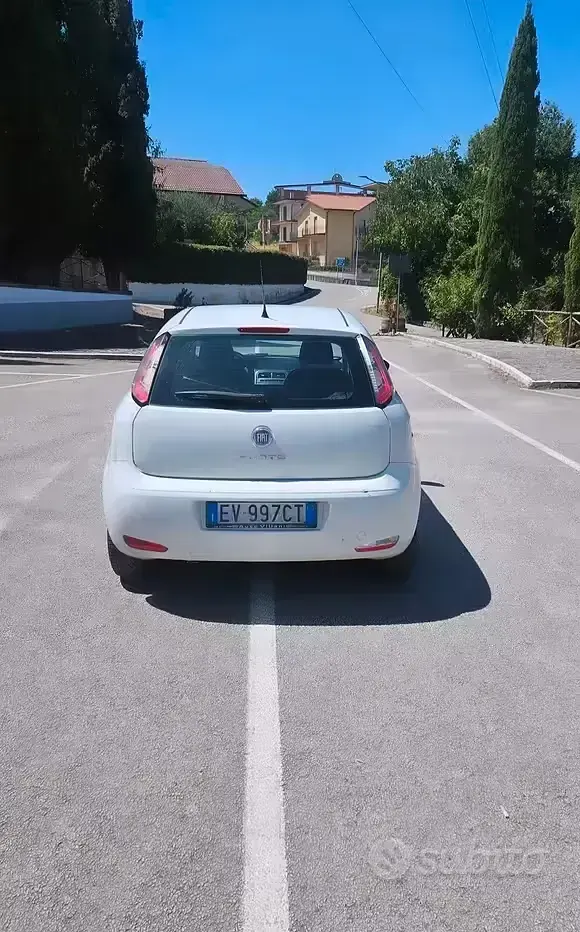 Usata Fiat Punto Lounge 77 CV (56 kW) 2014 Bianco Utilitaria