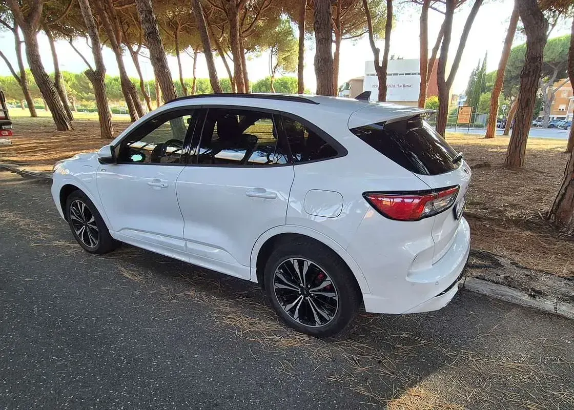 Usata Ford Kuga ST-Line X 152 CV (111 kW) 2022 SUV