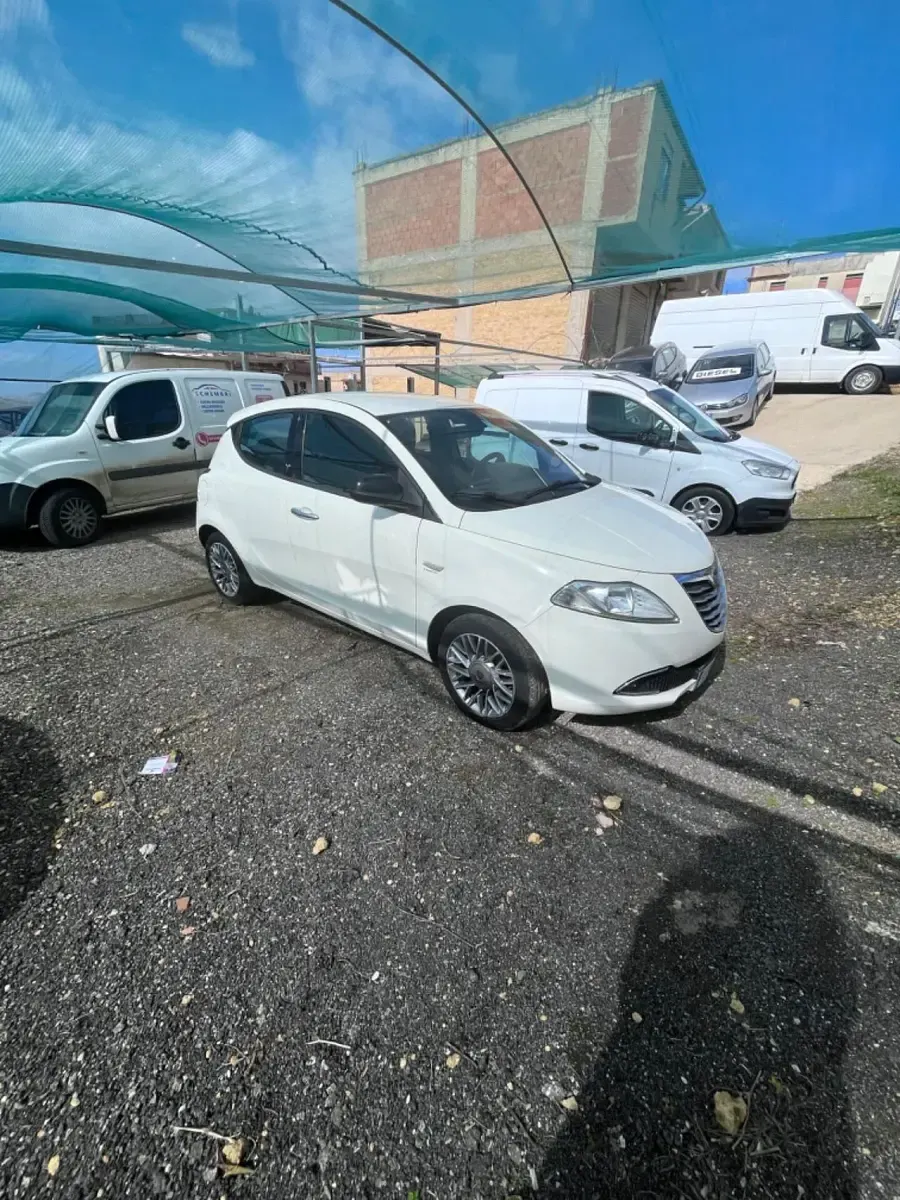 Usata Lancia Ypsilon S 95 CV (69 kW) 2013 Bianco Utilitaria