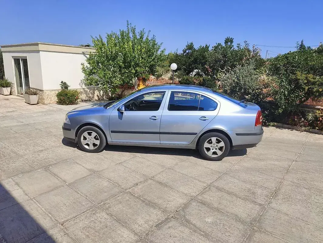 Usata Skoda Octavia Ambiente 105 CV (77 kW) 2005 Grigio Berlina