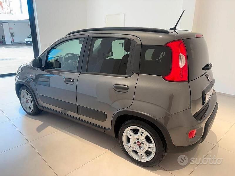 Usata Fiat Panda City Life 70 CV (51 kW) 2023 Grigio Utilitaria