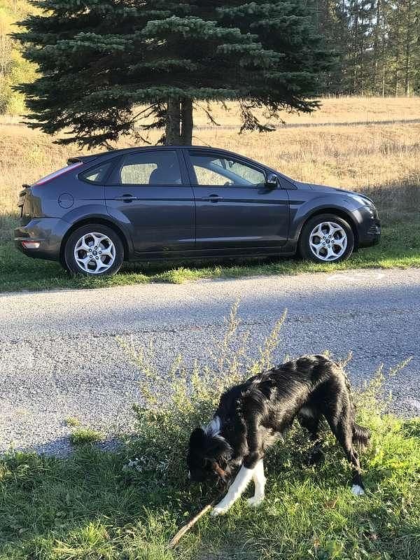 Usata Ford Focus 110 CV (80 kW) 2010 Berlina