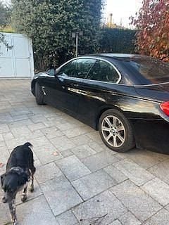 Usata BMW 420 Cabriolet 184 CV (135 kW) 2014 Nero Cabrio