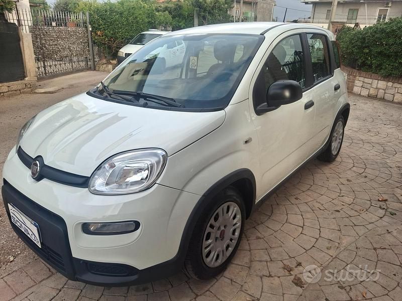 Usata Fiat Panda S 70 CV (51 kW) 2024 Bianco Utilitaria