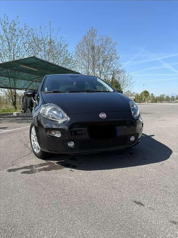 Usata Fiat Punto Lounge 69 CV (50 kW) 2016 Utilitaria