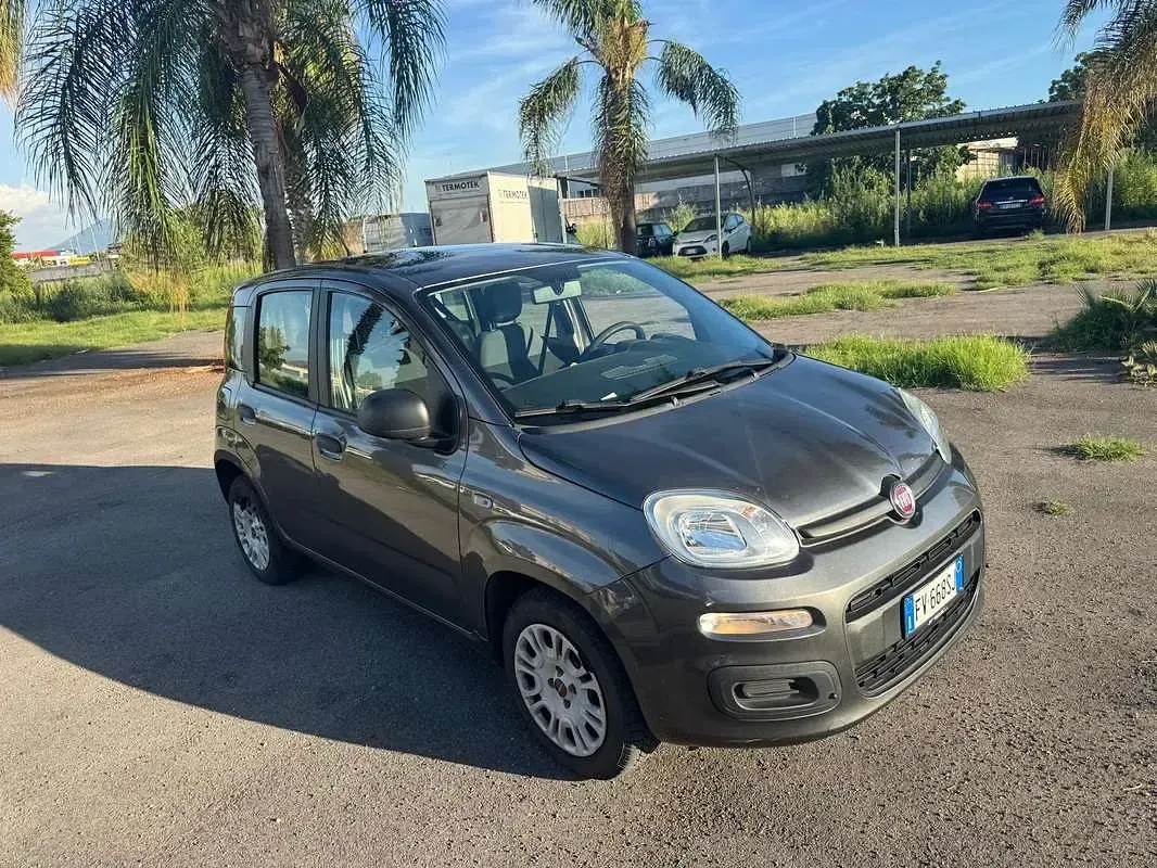 Usata Fiat Panda Easy 69 CV (50 kW) 2019 Utilitaria