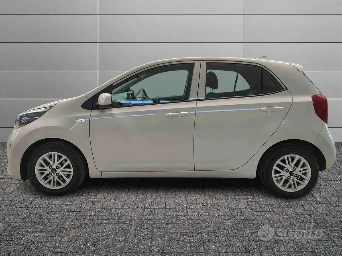 Usata Kia Picanto Urban 67 CV (49 kW) 2023 Bianco Utilitaria