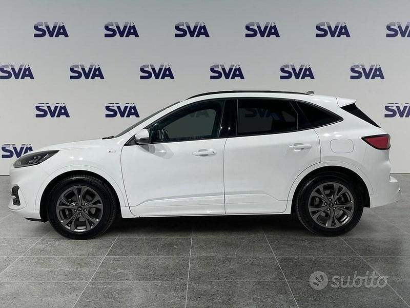 Usata Ford Kuga ST-Line 120 CV (88 kW) 2020 Bianco SUV