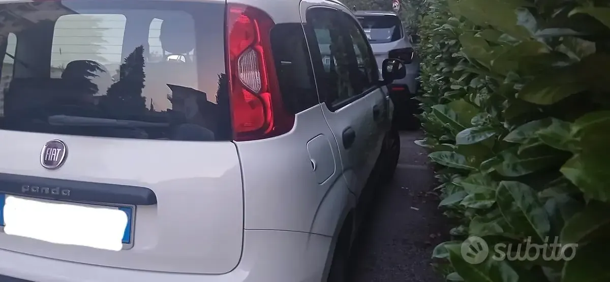 Usata Fiat Panda 69 CV (50 kW) 2020 Bianco Utilitaria