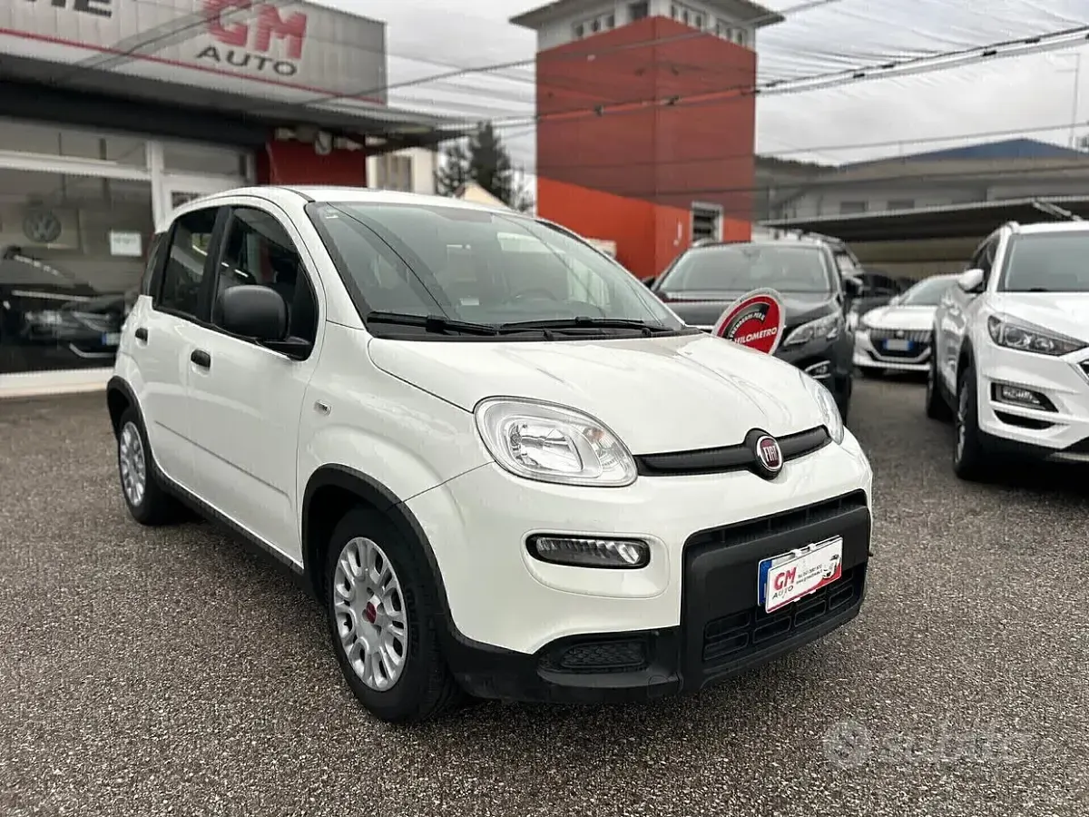 Usata Fiat Panda S 70 CV (51 kW) 2023 Bianco Utilitaria