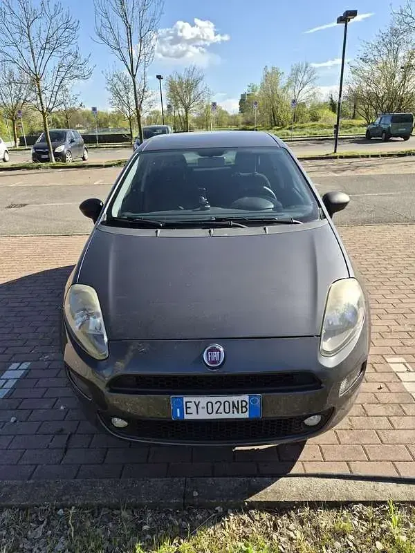 Usata Fiat Punto Young 77 CV (56 kW) 2015 Grigio Utilitaria