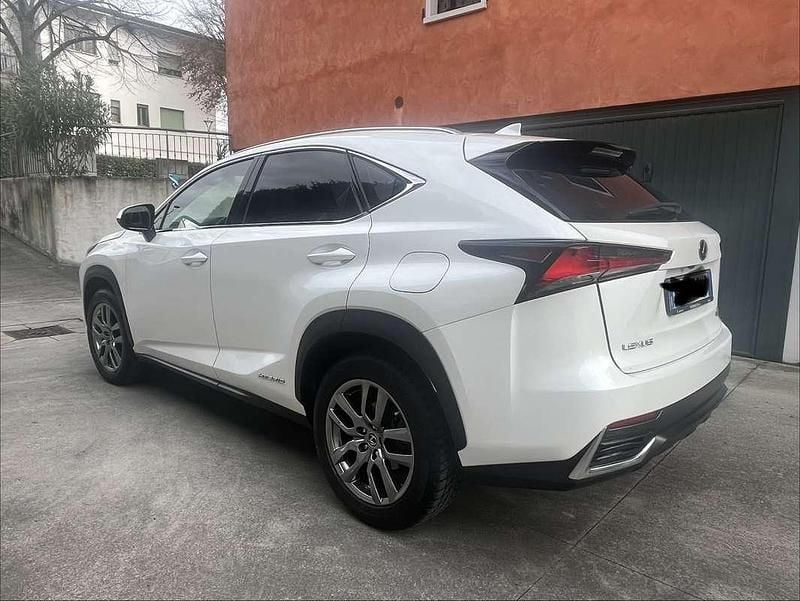 Usata Lexus NX300h 185 CV (136 kW) 2018 SUV