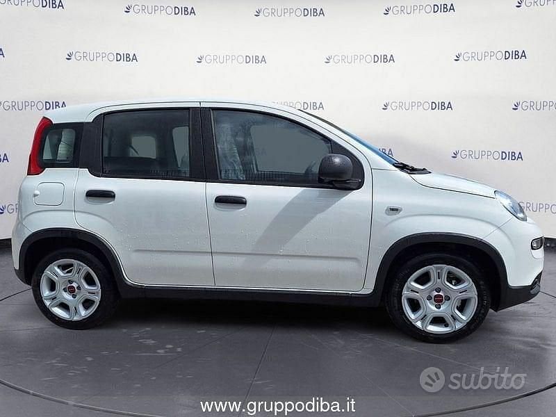 Usata Fiat Panda 70 CV (51 kW) 2024 Bianco Utilitaria