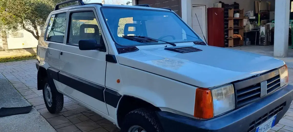 Usata Fiat Panda 4x4 Trekking 54 CV (39 kW) 2001 Bianco Utilitaria