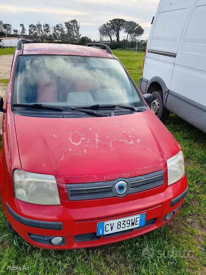 Usata Fiat Panda 60 CV (44 kW) 2008 Rosso Utilitaria