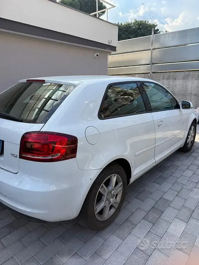 Usata Audi A3 Ambiente 90 CV (66 kW) 2012 Bianco Utilitaria