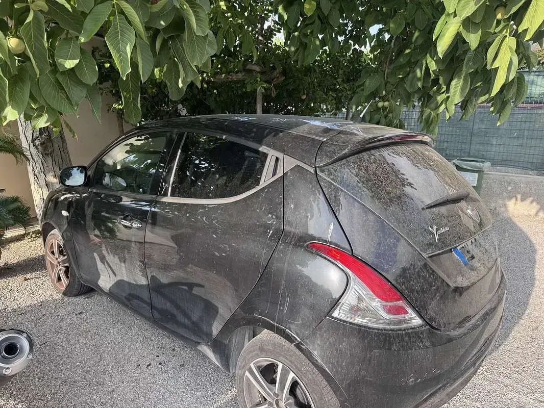 Usata Lancia Ypsilon S 95 CV (69 kW) 2014 Utilitaria