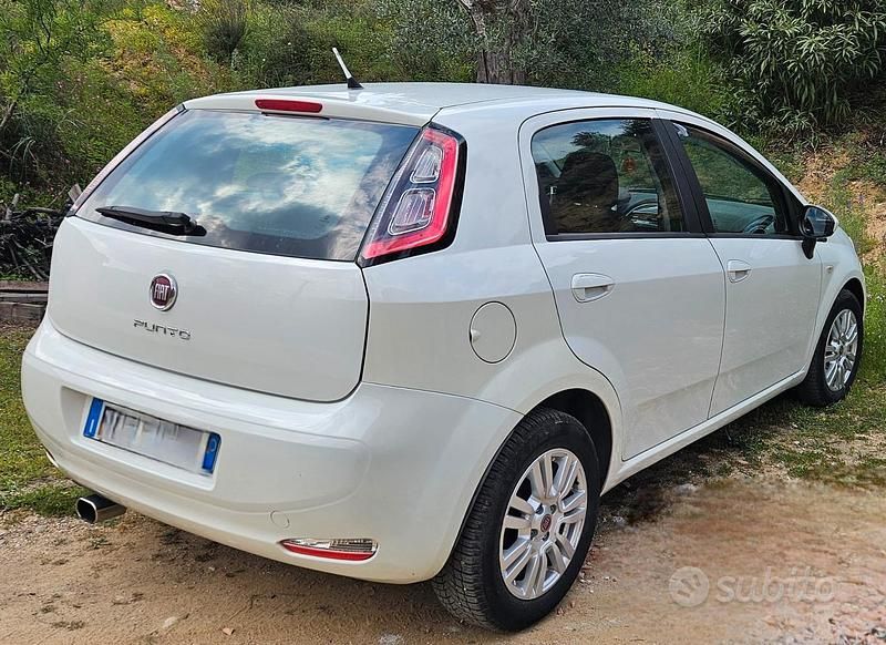 Usata Fiat Punto 75 CV (55 kW) 2013 Bianco Utilitaria