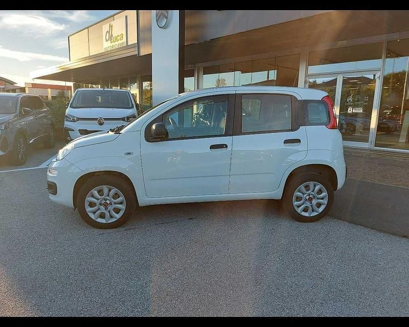 Usata Fiat Panda Easy 84 CV (61 kW) 2020 Bianco Utilitaria