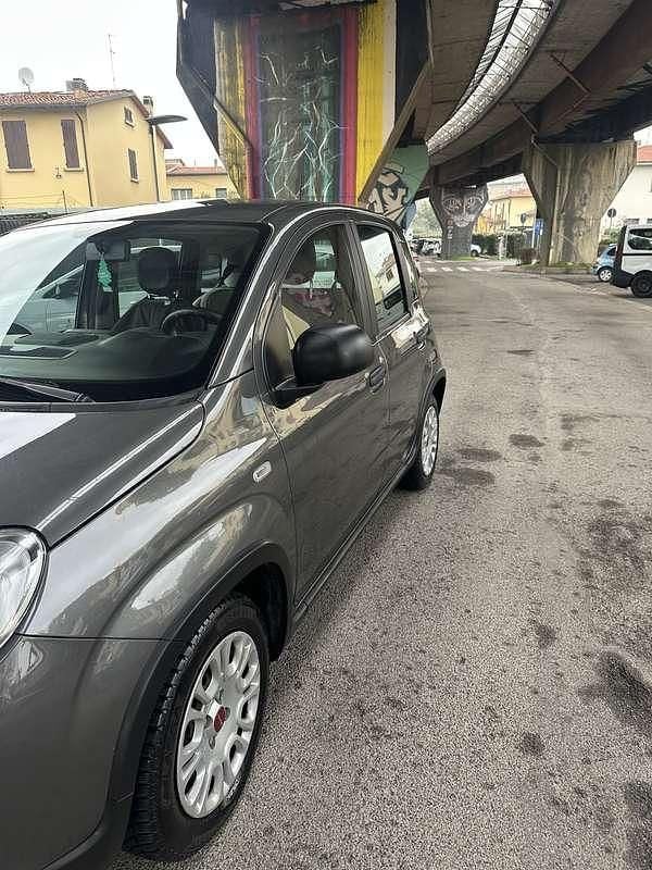 Usata Fiat Panda City Life 69 CV (50 kW) 2023 Utilitaria