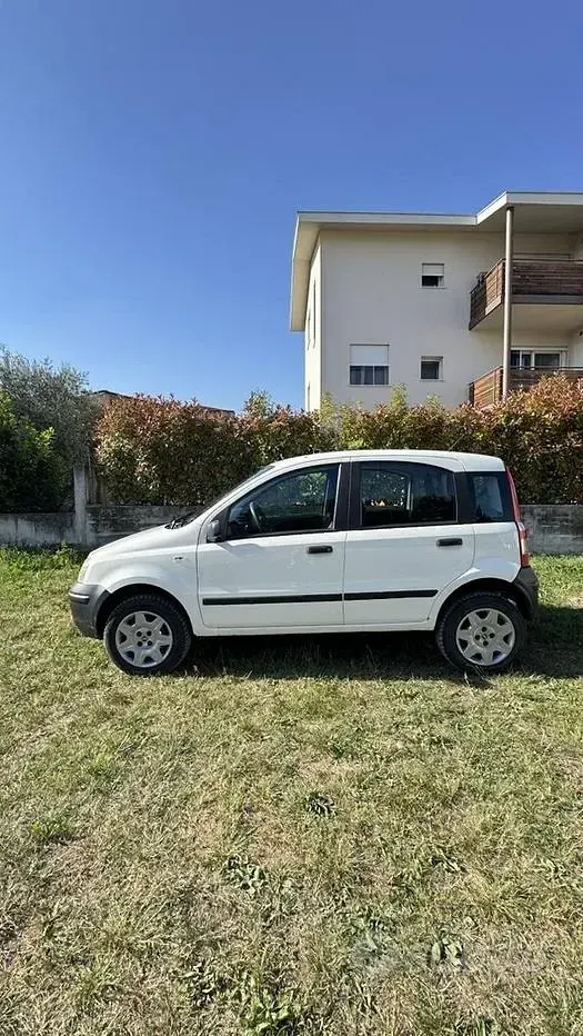 Usata Fiat Panda 4x4 60 CV (44 kW) 2008 Utilitaria