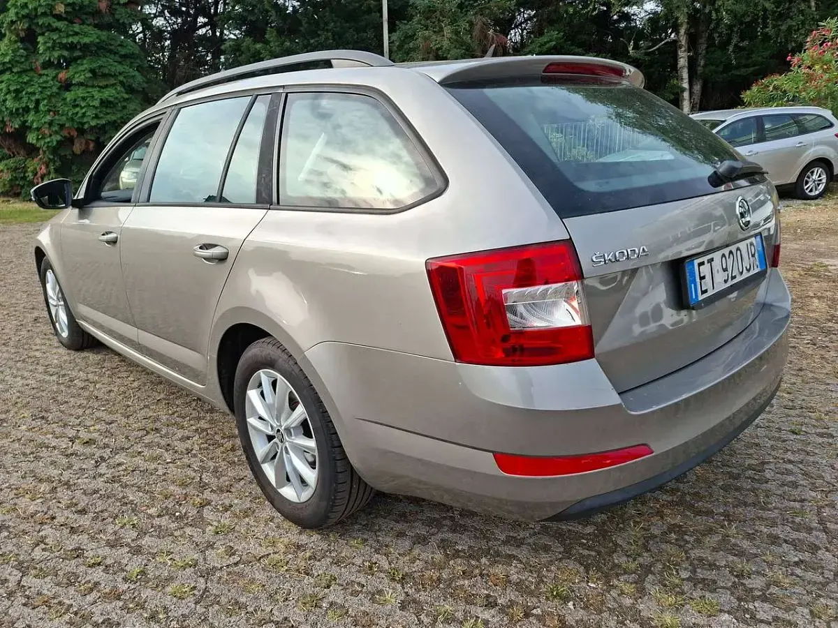 Usata Skoda Octavia Ambition 105 CV (77 kW) 2014 Beige Station wagon