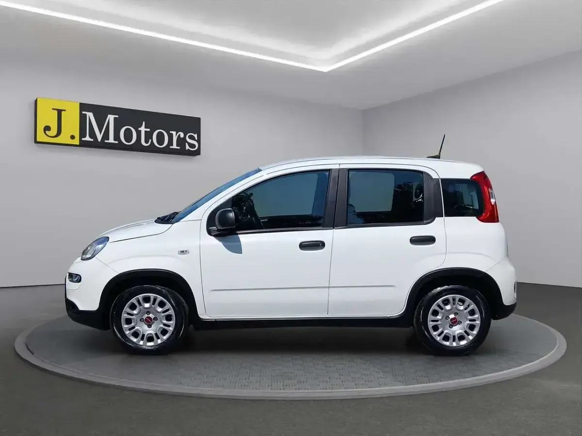 Usata Fiat Panda City Life 69 CV (50 kW) 2023 Bianco Utilitaria
