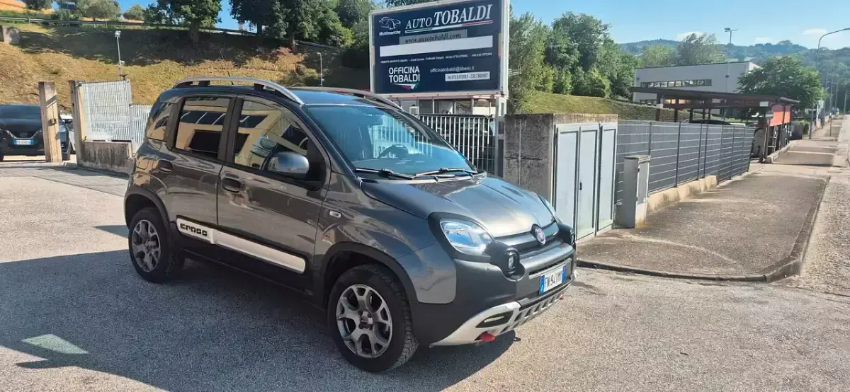 Usata Fiat Panda Cross Cross 95 CV (69 kW) 2018 Grigio Utilitaria
