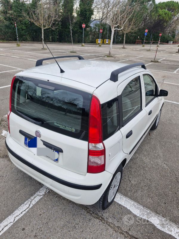Usata Fiat Panda 70 CV (51 kW) 2008 Bianco Utilitaria