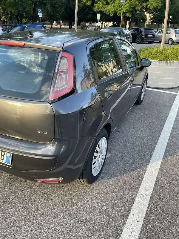 Usata Fiat Punto Evo Emotion 90 CV (66 kW) 2010 Grigio Utilitaria