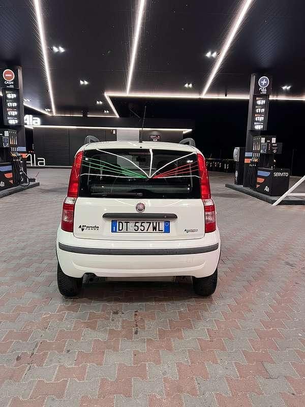 Usata Fiat Panda Dynamic 77 CV (56 kW) 2009 Bianco Utilitaria