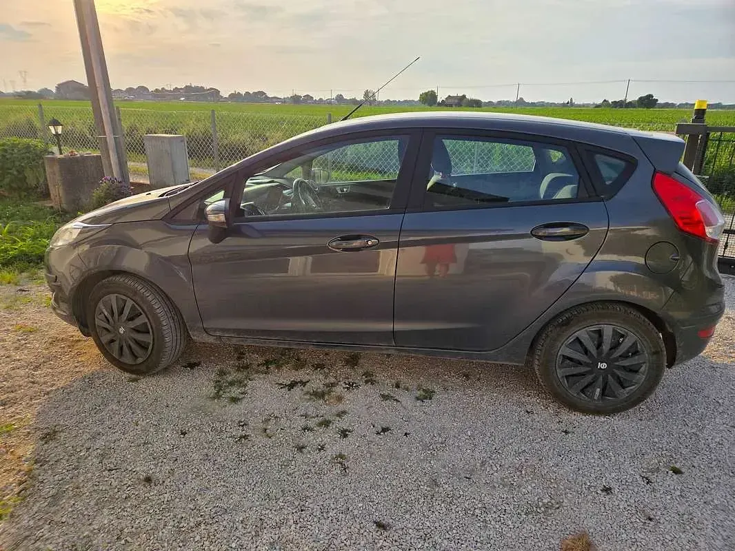 Usata Ford Fiesta Business Edition 80 CV (58 kW) 2016 Grigio Utilitaria