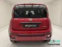 Usata Fiat Panda Cross Cross 70 CV (51 kW) 2024 Rosso Utilitaria