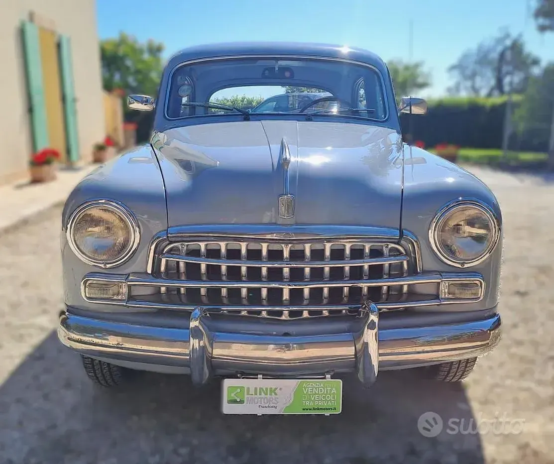 Usata Fiat 1900 58 CV (42 kW) 1950 Grigio Berlina