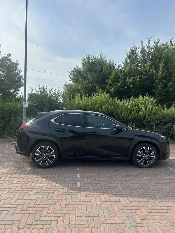 Usata Lexus UX 250h 145 CV (106 kW) 2019 SUV