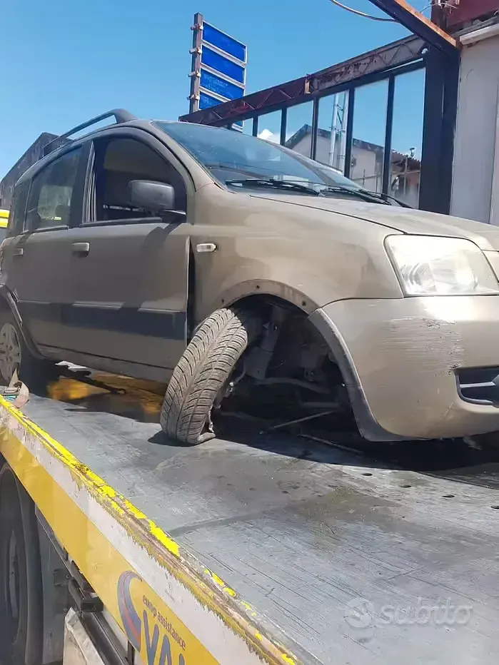 Usata Fiat Panda 60 CV (44 kW) 2008 Utilitaria