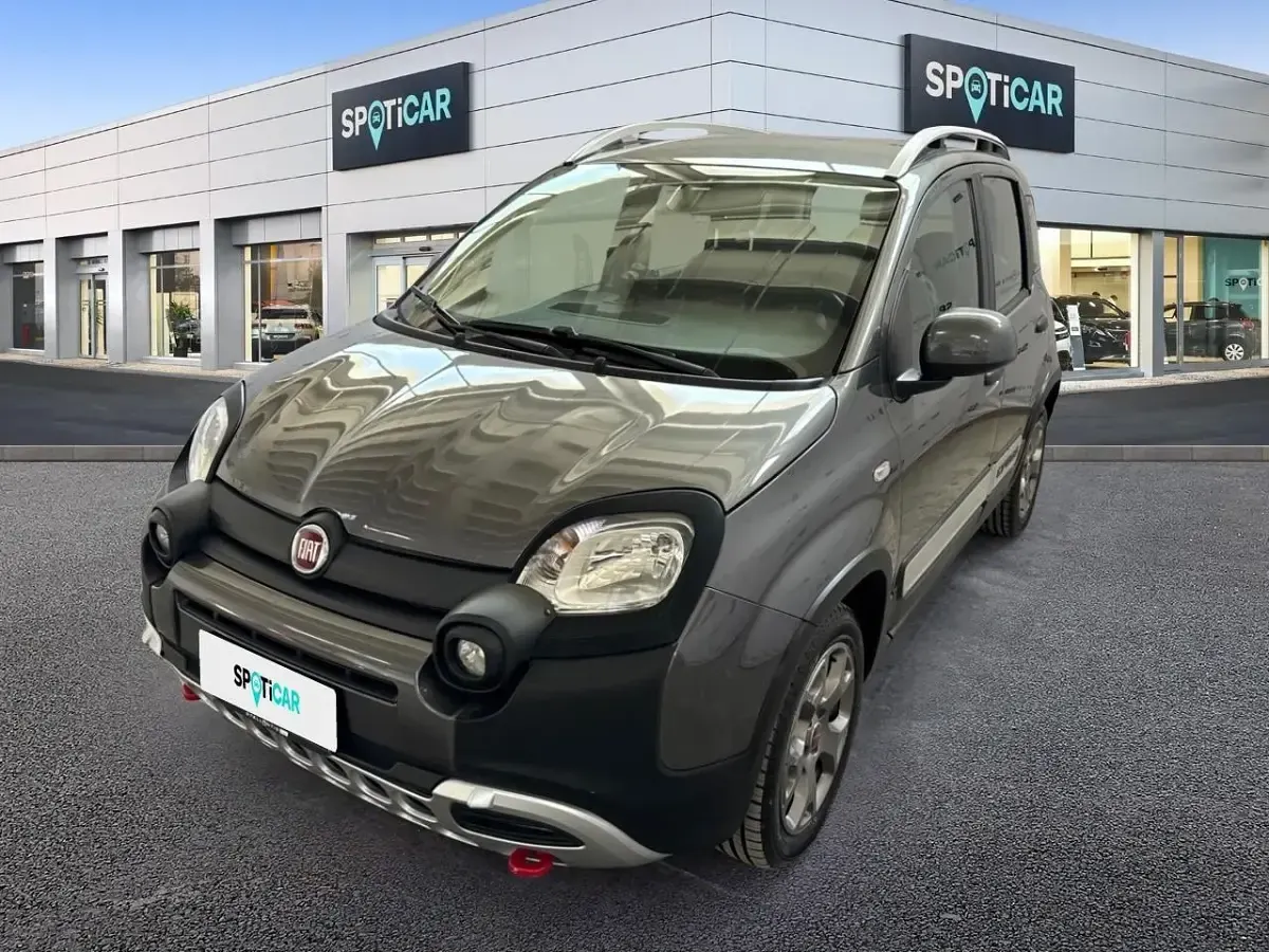 Usata Fiat Panda Cross Cross 69 CV (50 kW) 2018 Utilitaria