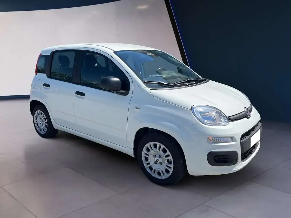 Usata Fiat Panda 69 CV (50 kW) 2025 Bianco Utilitaria