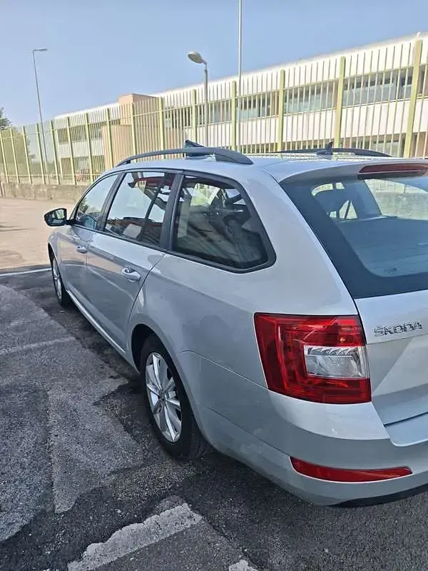 Usata Skoda Octavia G-TEC Executive 110 CV (80 kW) 2016 Grigio Station wagon