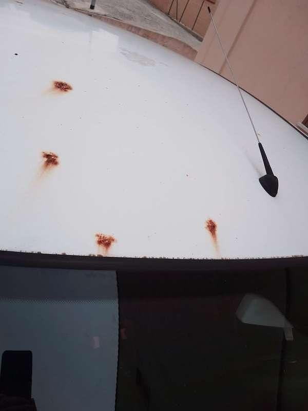 Usata Fiat Punto Dynamic 69 CV (50 kW) 2005 Berlina