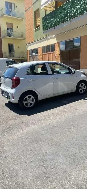 Usado Kia Picanto 63 CV (46 kW) 2017 Utilitario