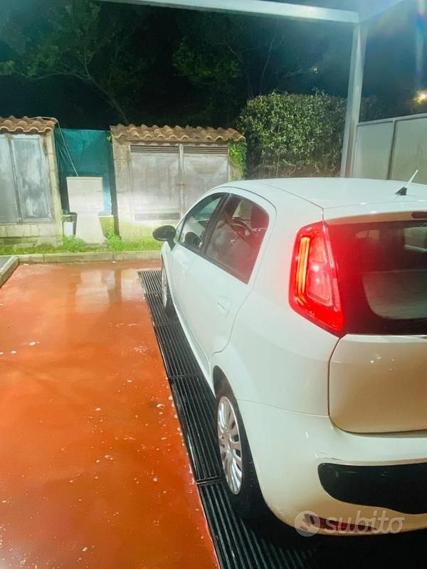 Usata Fiat Punto Evo 75 CV (55 kW) 2011 Bianco Utilitaria