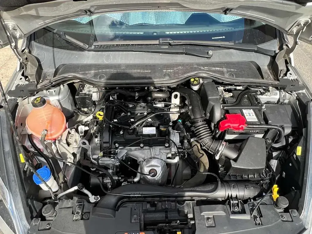Usata Ford Fiesta Titanium 86 CV (63 kW) 2019 Grigio Utilitaria