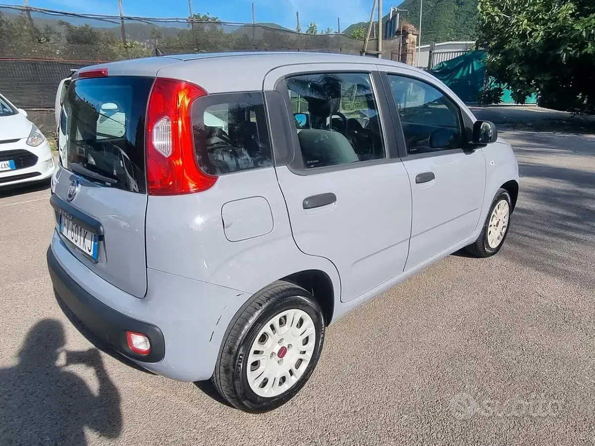 Usata Fiat Panda Easy 69 CV (50 kW) 2019 Grigio Utilitaria