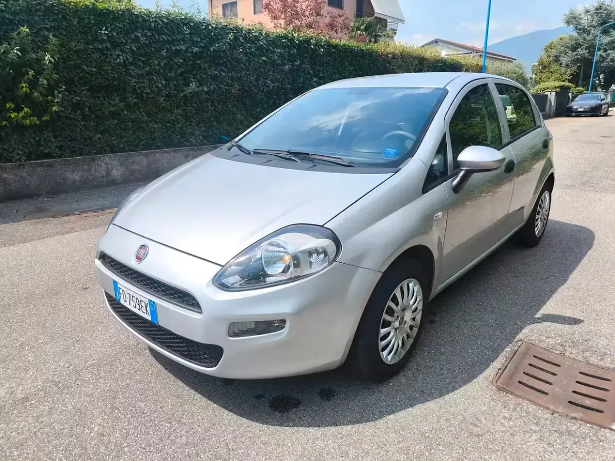 Usata Fiat Punto Evo 69 CV (50 kW) 2016 Grigio Utilitaria