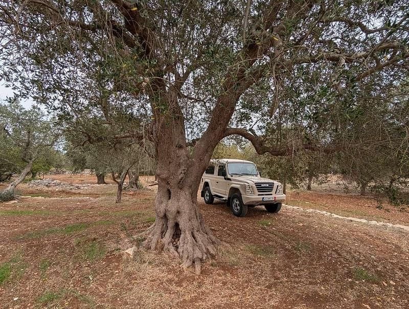 Usata Iveco Massif 177 CV (130 kW) 2010 Beige SUV