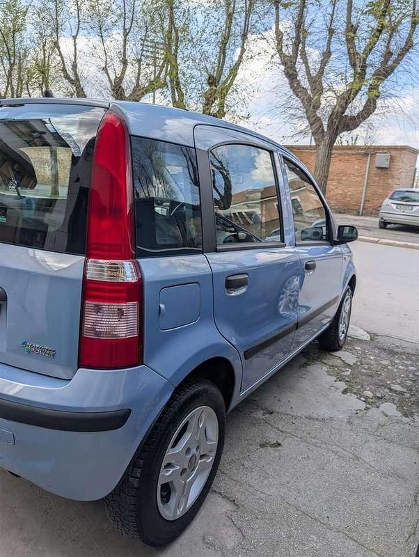 Usata Fiat Panda Dynamic 60 CV (44 kW) 2009 Other Utilitaria