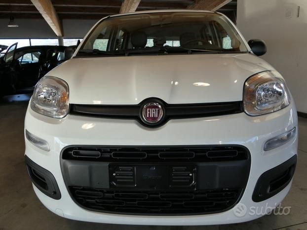 Usata Fiat Panda Easy 69 CV (50 kW) 2020 Bianco Utilitaria